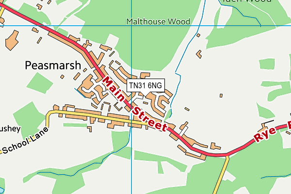 TN31 6NG map - OS VectorMap District (Ordnance Survey) TN31 6NG map - OS VectorMap District (Ordnance Survey)