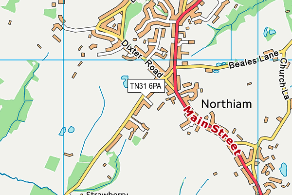 TN31 6PA map - OS VectorMap District (Ordnance Survey) TN31 6PA map - OS VectorMap District (Ordnance Survey)