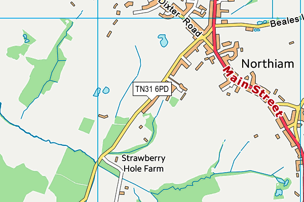 TN31 6PD map - OS VectorMap District (Ordnance Survey) TN31 6PD map - OS VectorMap District (Ordnance Survey)