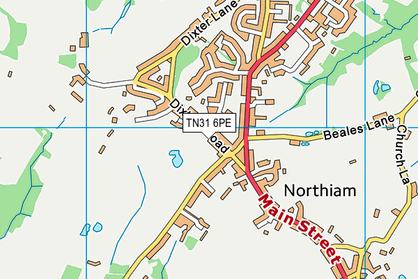 TN31 6PE map - OS VectorMap District (Ordnance Survey) TN31 6PE map - OS VectorMap District (Ordnance Survey)