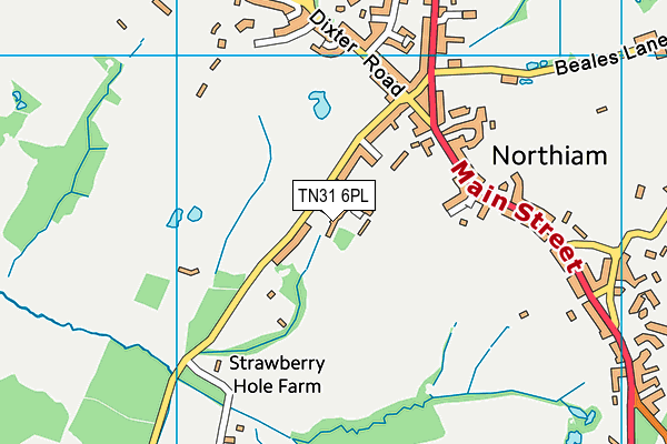 TN31 6PL map - OS VectorMap District (Ordnance Survey) TN31 6PL map - OS VectorMap District (Ordnance Survey)