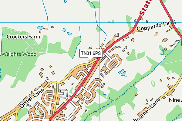 TN31 6PS map - OS VectorMap District (Ordnance Survey) TN31 6PS map - OS VectorMap District (Ordnance Survey)