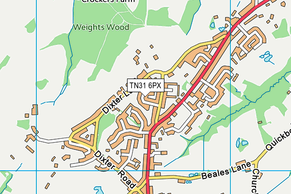 TN31 6PX map - OS VectorMap District (Ordnance Survey) TN31 6PX map - OS VectorMap District (Ordnance Survey)