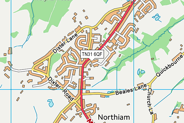 TN31 6QF map - OS VectorMap District (Ordnance Survey) TN31 6QF map - OS VectorMap District (Ordnance Survey)