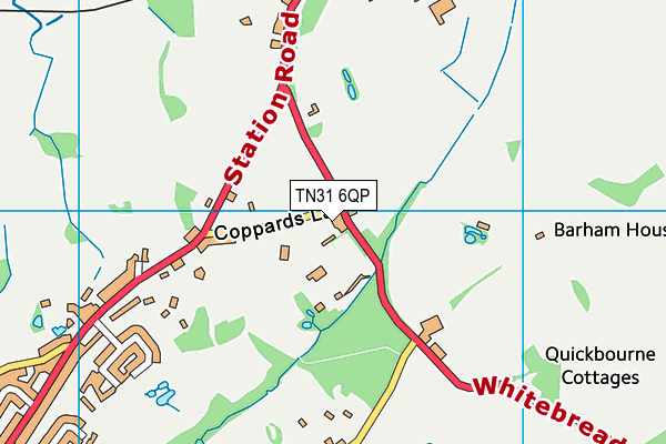 TN31 6QP map - OS VectorMap District (Ordnance Survey) TN31 6QP map - OS VectorMap District (Ordnance Survey)