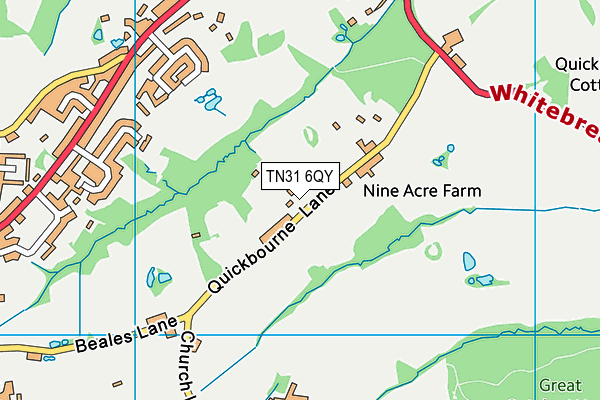 TN31 6QY map - OS VectorMap District (Ordnance Survey) TN31 6QY map - OS VectorMap District (Ordnance Survey)