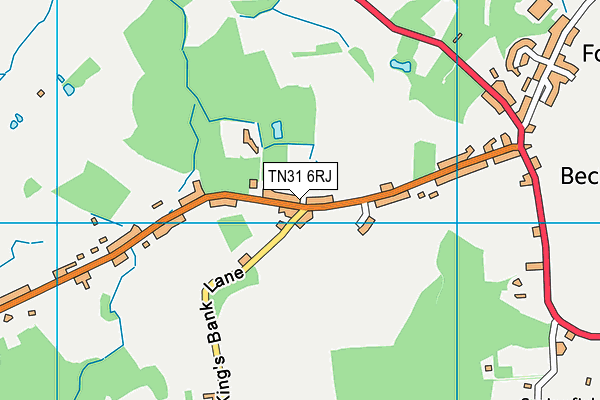 TN31 6RJ map - OS VectorMap District (Ordnance Survey) TN31 6RJ map - OS VectorMap District (Ordnance Survey)