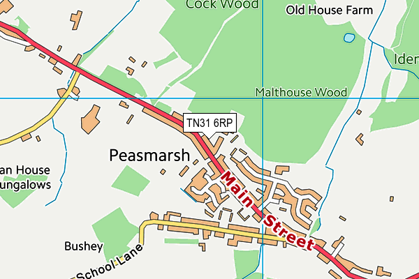 TN31 6RP map - OS VectorMap District (Ordnance Survey) TN31 6RP map - OS VectorMap District (Ordnance Survey)