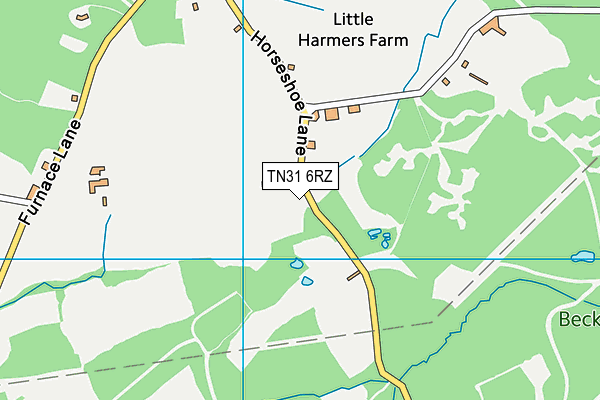 TN31 6RZ map - OS VectorMap District (Ordnance Survey) TN31 6RZ map - OS VectorMap District (Ordnance Survey)