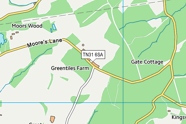 TN31 6SA map - OS VectorMap District (Ordnance Survey) TN31 6SA map - OS VectorMap District (Ordnance Survey)