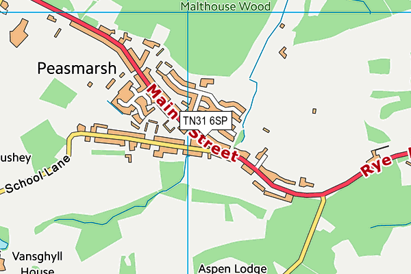 TN31 6SP map - OS VectorMap District (Ordnance Survey) TN31 6SP map - OS VectorMap District (Ordnance Survey)