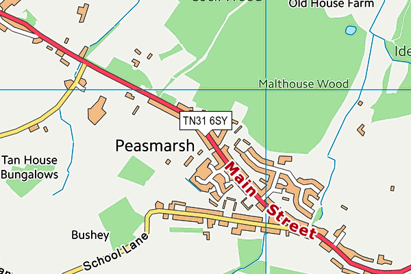 TN31 6SY map - OS VectorMap District (Ordnance Survey) TN31 6SY map - OS VectorMap District (Ordnance Survey)
