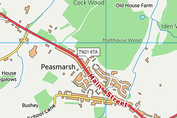 TN31 6TA map - OS VectorMap District (Ordnance Survey) TN31 6TA map - OS VectorMap District (Ordnance Survey)