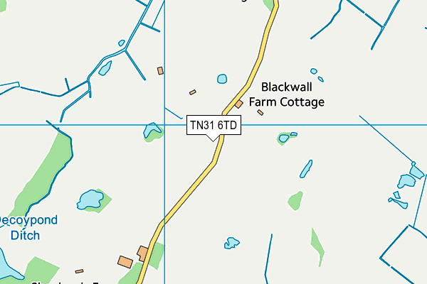TN31 6TD map - OS VectorMap District (Ordnance Survey) TN31 6TD map - OS VectorMap District (Ordnance Survey)