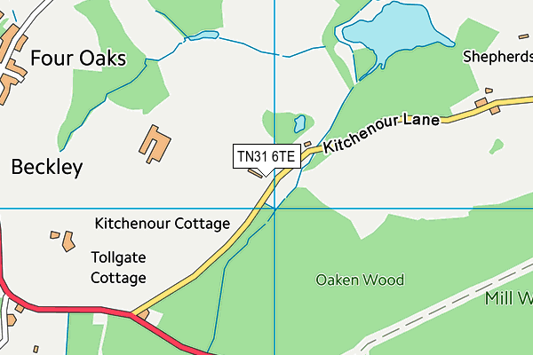 TN31 6TE map - OS VectorMap District (Ordnance Survey) TN31 6TE map - OS VectorMap District (Ordnance Survey)