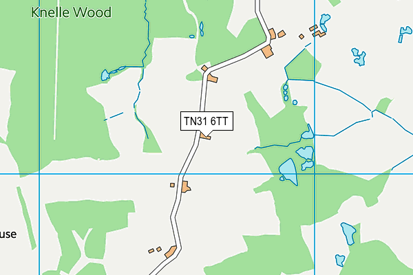 TN31 6TT map - OS VectorMap District (Ordnance Survey) TN31 6TT map - OS VectorMap District (Ordnance Survey)