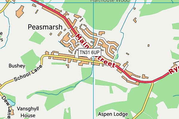 TN31 6UP map - OS VectorMap District (Ordnance Survey) TN31 6UP map - OS VectorMap District (Ordnance Survey)