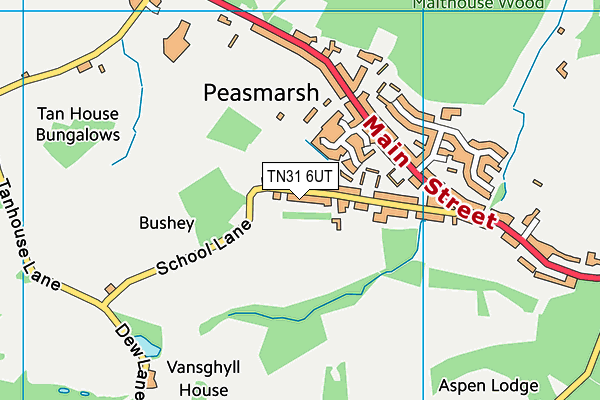 TN31 6UT map - OS VectorMap District (Ordnance Survey) TN31 6UT map - OS VectorMap District (Ordnance Survey)