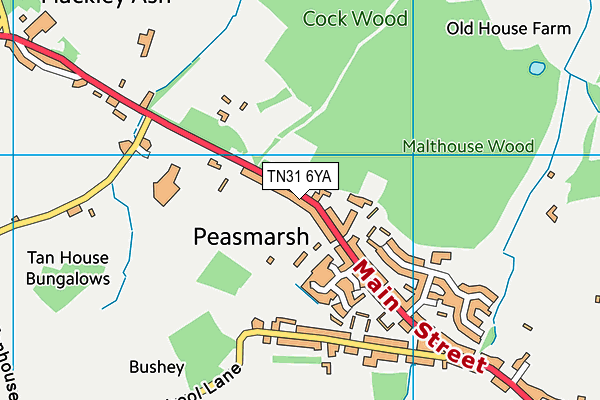 TN31 6YA map - OS VectorMap District (Ordnance Survey) TN31 6YA map - OS VectorMap District (Ordnance Survey)
