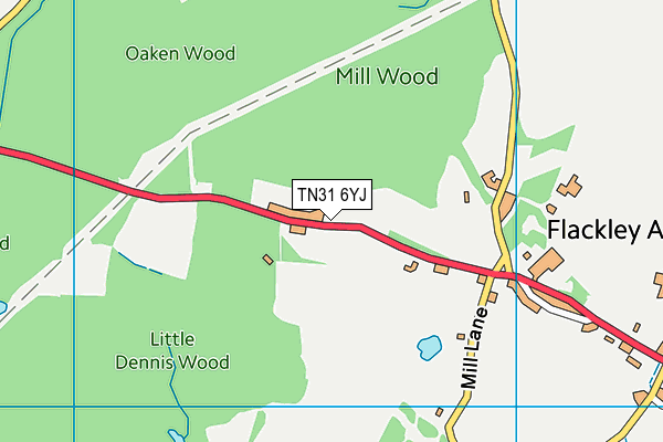 TN31 6YJ map - OS VectorMap District (Ordnance Survey) TN31 6YJ map - OS VectorMap District (Ordnance Survey)