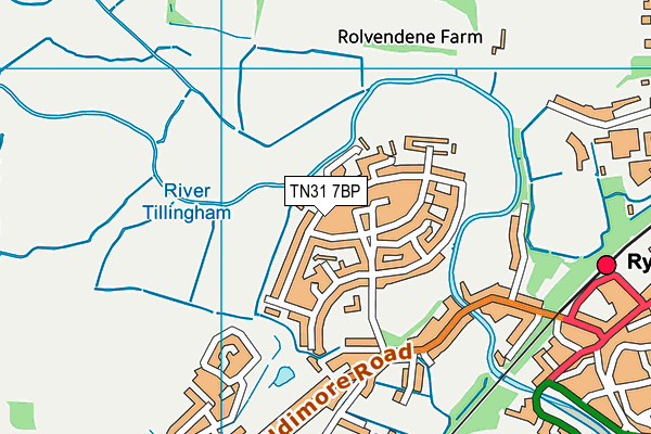 TN31 7BP map - OS VectorMap District (Ordnance Survey) TN31 7BP map - OS VectorMap District (Ordnance Survey)