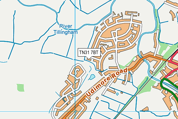 TN31 7BT map - OS VectorMap District (Ordnance Survey) TN31 7BT map - OS VectorMap District (Ordnance Survey)