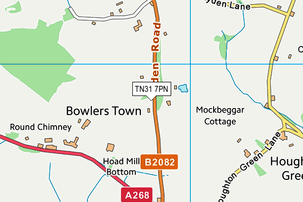 TN31 7PN map - OS VectorMap District (Ordnance Survey) TN31 7PN map - OS VectorMap District (Ordnance Survey)