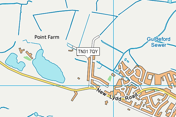 TN31 7QY map - OS VectorMap District (Ordnance Survey) TN31 7QY map - OS VectorMap District (Ordnance Survey)