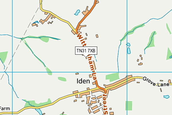 TN31 7XB map - OS VectorMap District (Ordnance Survey) TN31 7XB map - OS VectorMap District (Ordnance Survey)