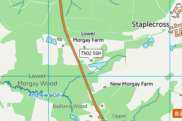 TN32 5SH map - OS VectorMap District (Ordnance Survey) TN32 5SH map - OS VectorMap District (Ordnance Survey)