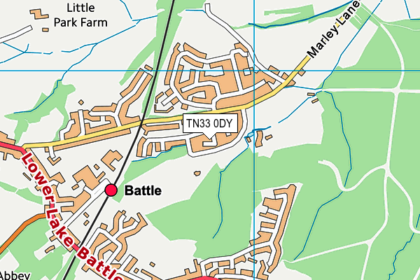 TN33 0DY map - OS VectorMap District (Ordnance Survey) TN33 0DY map - OS VectorMap District (Ordnance Survey)