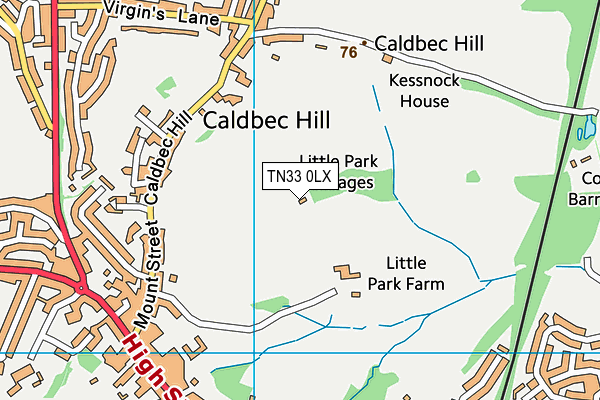 TN33 0LX map - OS VectorMap District (Ordnance Survey)