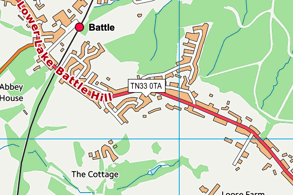 TN33 0TA map - OS VectorMap District (Ordnance Survey) TN33 0TA map - OS VectorMap District (Ordnance Survey)