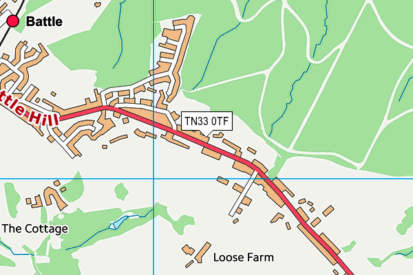 TN33 0TF map - OS VectorMap District (Ordnance Survey) TN33 0TF map - OS VectorMap District (Ordnance Survey)