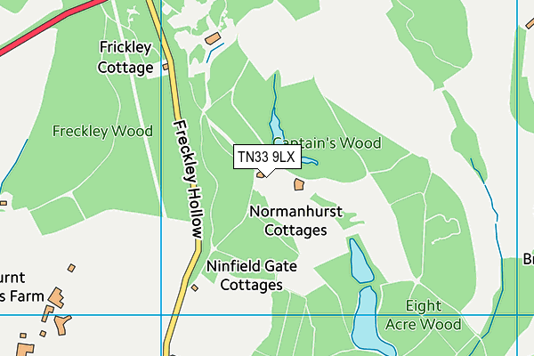 TN33 9LX map - OS VectorMap District (Ordnance Survey) TN33 9LX map - OS VectorMap District (Ordnance Survey)