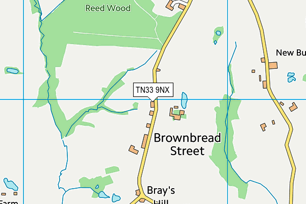 TN33 9NX map - OS VectorMap District (Ordnance Survey) TN33 9NX map - OS VectorMap District (Ordnance Survey)