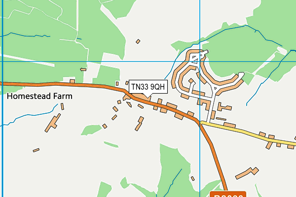 TN33 9QH map - OS VectorMap District (Ordnance Survey) TN33 9QH map - OS VectorMap District (Ordnance Survey)