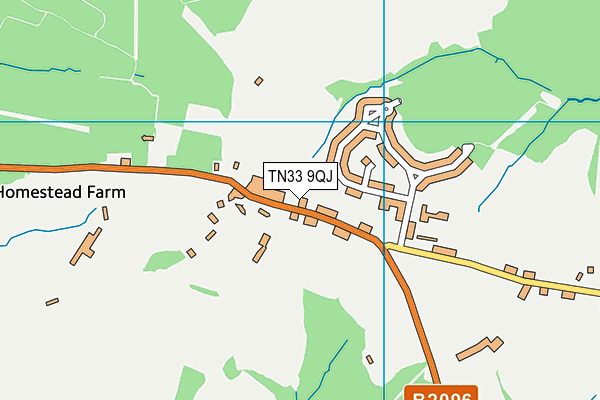 TN33 9QJ map - OS VectorMap District (Ordnance Survey) TN33 9QJ map - OS VectorMap District (Ordnance Survey)