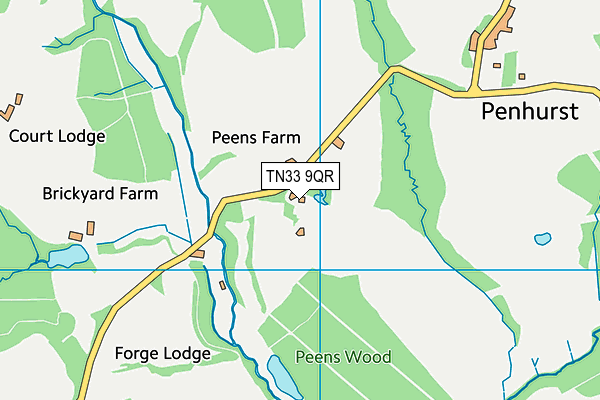 TN33 9QR map - OS VectorMap District (Ordnance Survey) TN33 9QR map - OS VectorMap District (Ordnance Survey)