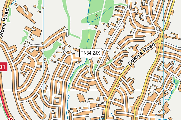 TN34 2JX map - OS VectorMap District (Ordnance Survey) TN34 2JX map - OS VectorMap District (Ordnance Survey)