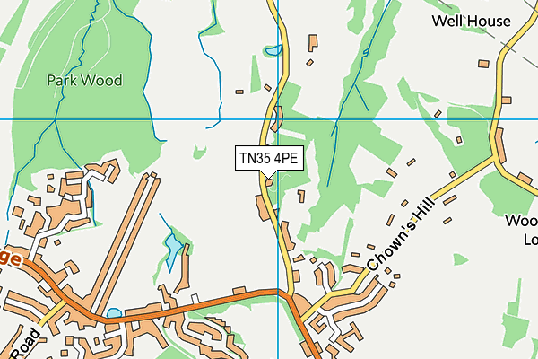 TN35 4PE map - OS VectorMap District (Ordnance Survey) TN35 4PE map - OS VectorMap District (Ordnance Survey)
