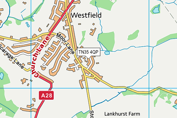 TN35 4QP map - OS VectorMap District (Ordnance Survey) TN35 4QP map - OS VectorMap District (Ordnance Survey)