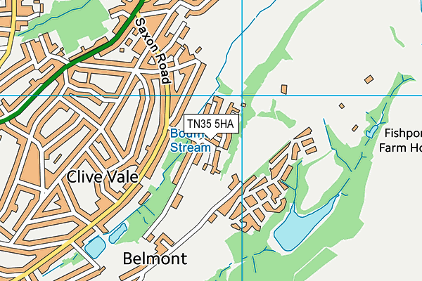 TN35 5HA map - OS VectorMap District (Ordnance Survey) TN35 5HA map - OS VectorMap District (Ordnance Survey)