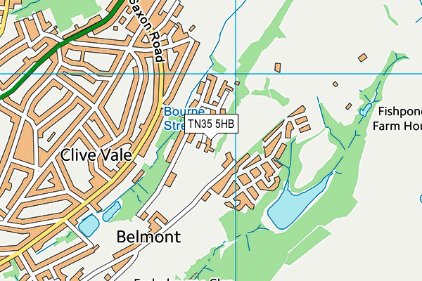 TN35 5HB map - OS VectorMap District (Ordnance Survey) TN35 5HB map - OS VectorMap District (Ordnance Survey)