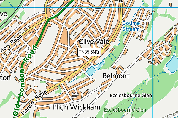 TN35 5NQ map - OS VectorMap District (Ordnance Survey) TN35 5NQ map - OS VectorMap District (Ordnance Survey)