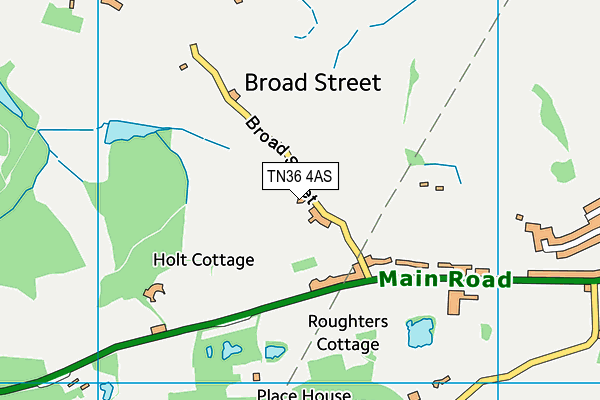 TN36 4AS map - OS VectorMap District (Ordnance Survey) TN36 4AS map - OS VectorMap District (Ordnance Survey)