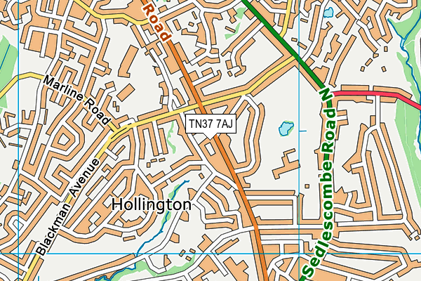 TN37 7AJ map - OS VectorMap District (Ordnance Survey) TN37 7AJ map - OS VectorMap District (Ordnance Survey)
