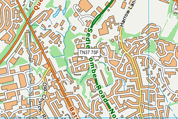 TN37 7SF map - OS VectorMap District (Ordnance Survey) TN37 7SF map - OS VectorMap District (Ordnance Survey)