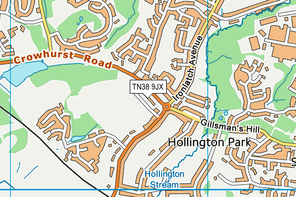TN38 9JX map - OS VectorMap District (Ordnance Survey) TN38 9JX map - OS VectorMap District (Ordnance Survey)