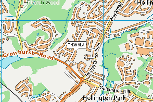 TN38 9LA map - OS VectorMap District (Ordnance Survey) TN38 9LA map - OS VectorMap District (Ordnance Survey)
